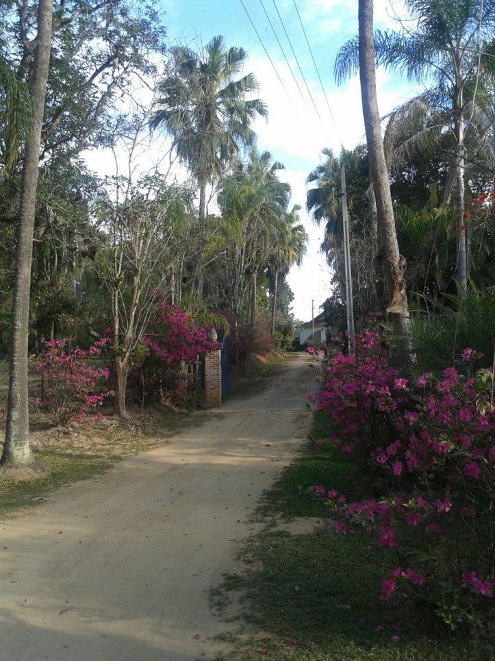 Chacara à venda no Vila Cândida — imagem 8 de 28