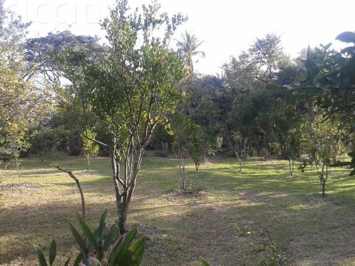 Chacara à venda no Vila Cândida — imagem 15 de 28