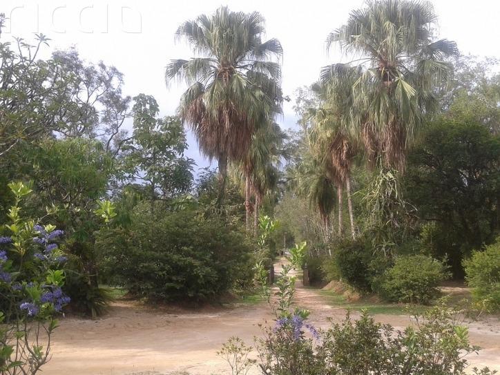 Chacara à venda no Vila Cândida — imagem 7 de 28