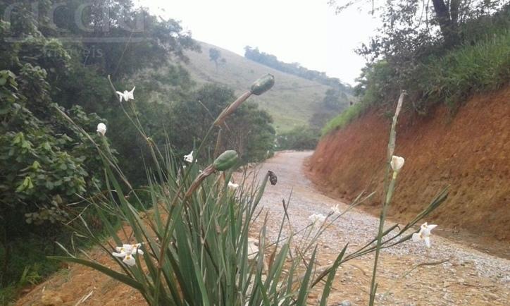 Sitio à venda no Buquirinha Ii — imagem 16 de 21