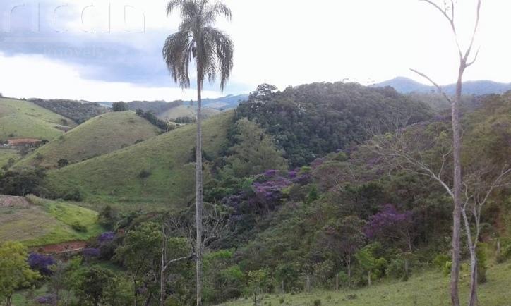 Sitio à venda no Buquirinha Ii — imagem 7 de 21
