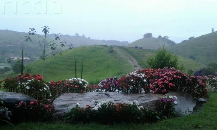 Sitio à venda no Buquirinha Ii — imagem 5 de 21