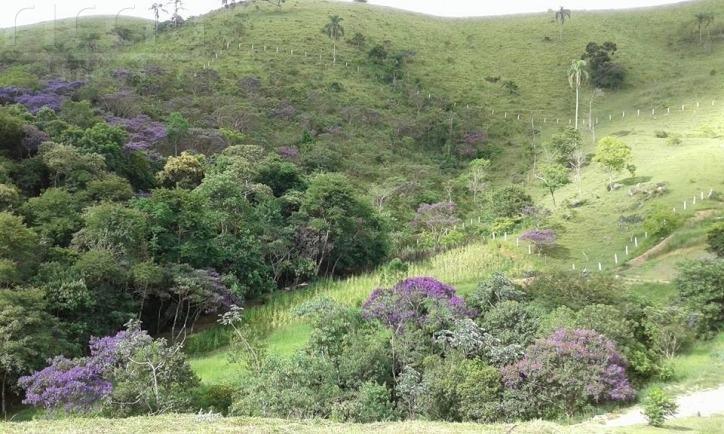 Sitio à venda no Buquirinha Ii — imagem 13 de 21