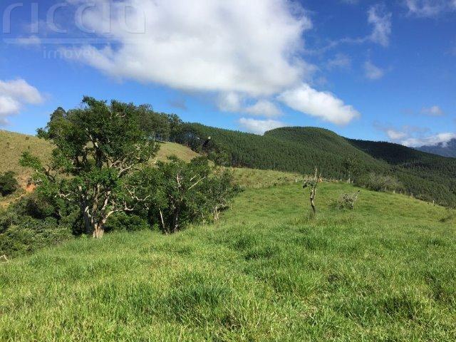 Terreno à venda no Bom Sucesso — imagem 5 de 6