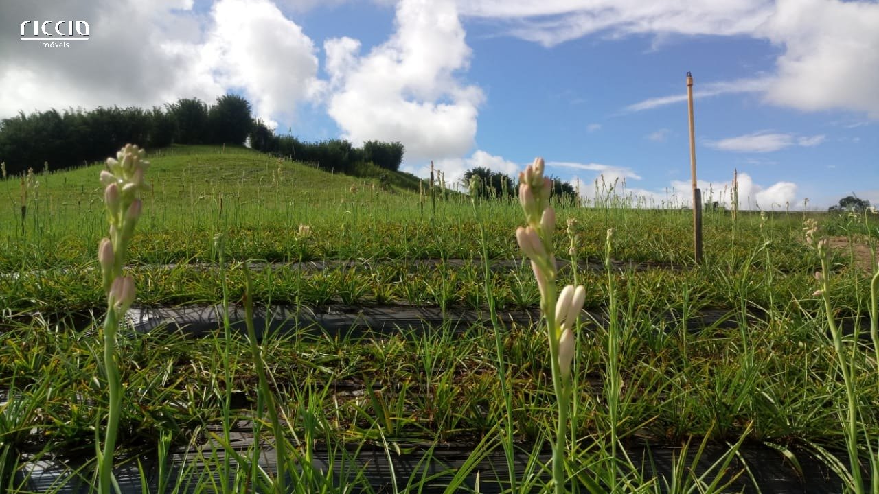 Terreno à venda no Chácaras Santa Maria — detalhe do imóvel