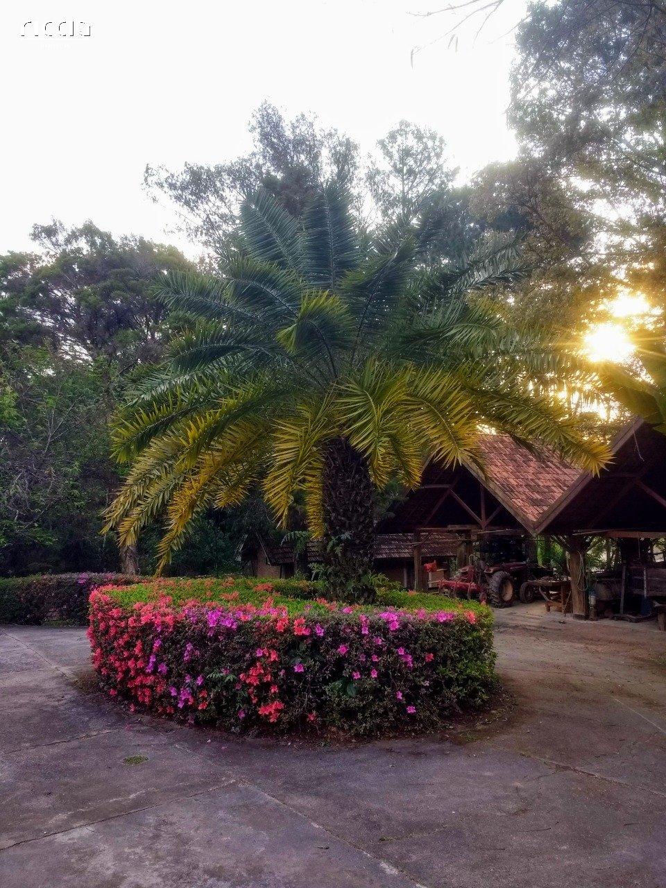 Terreno à venda no Jardim Torrão de Ouro — imagem 8 de 14