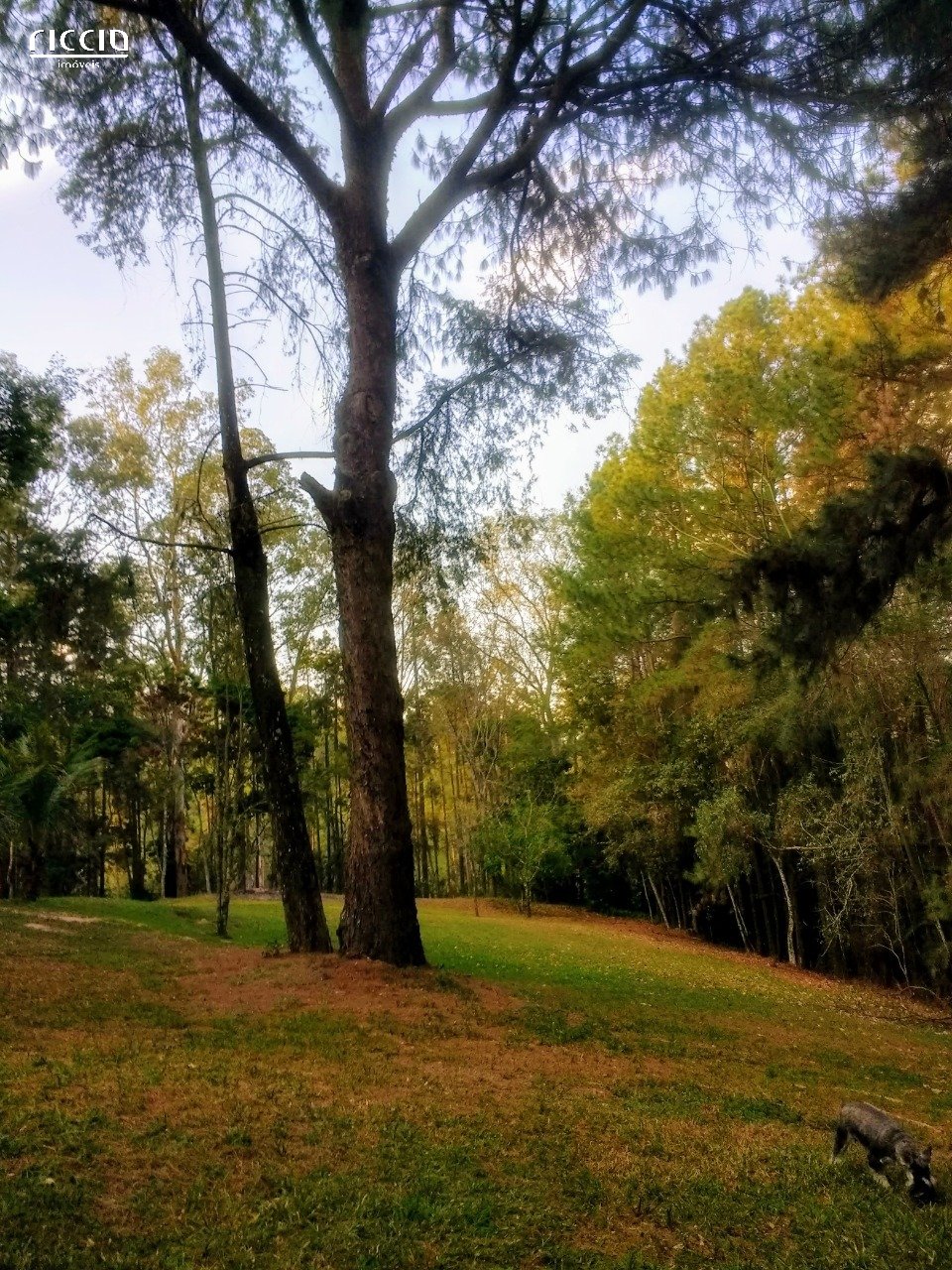 Terreno à venda no Jardim Torrão de Ouro — imagem 9 de 14