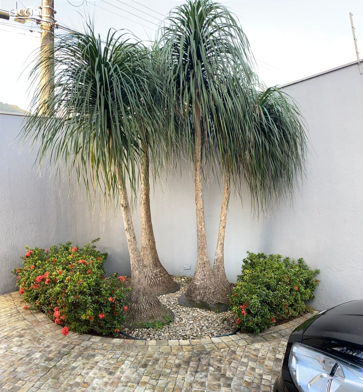 Casa à venda no Sumaré — imagem 4 de 9