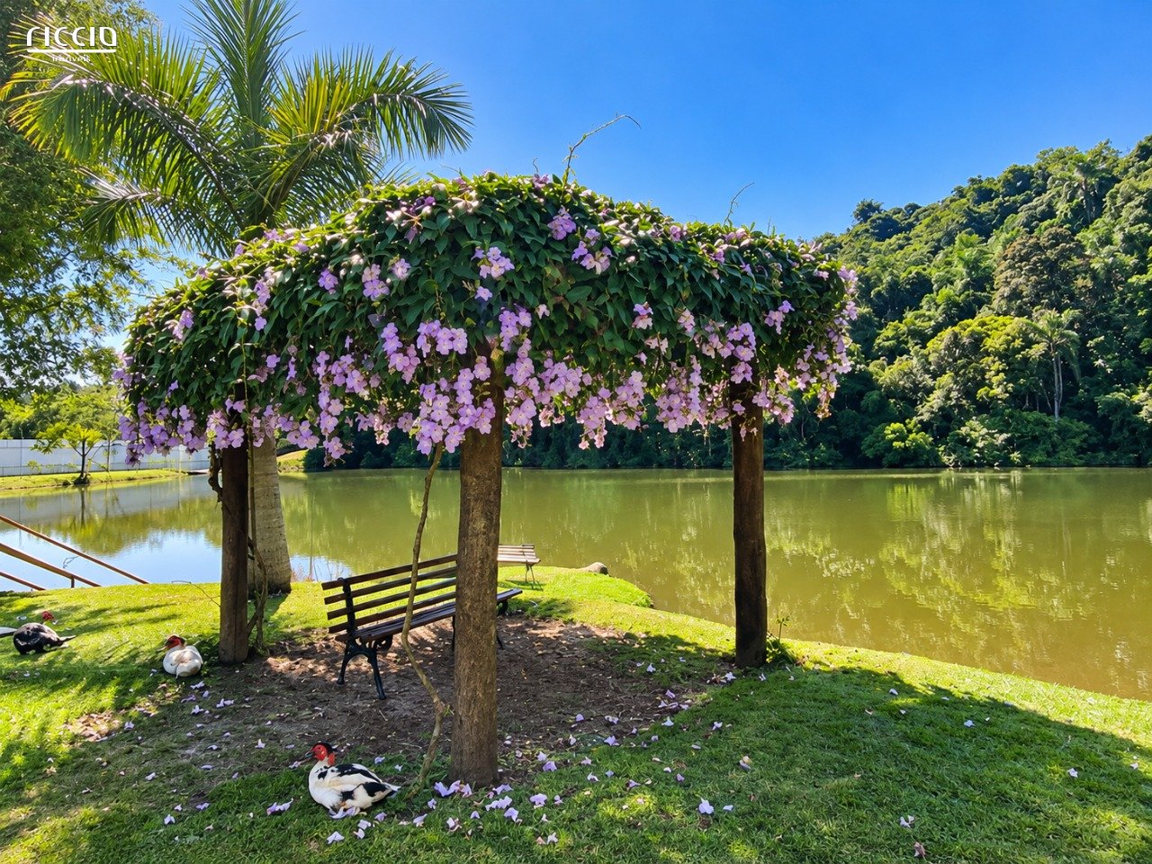 Condominio Mirante do Vale — ambiente interno